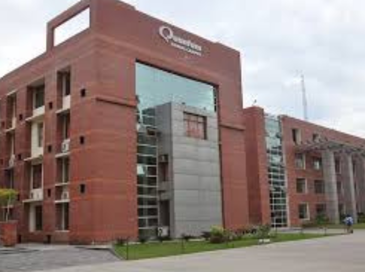 Untitled design (82)