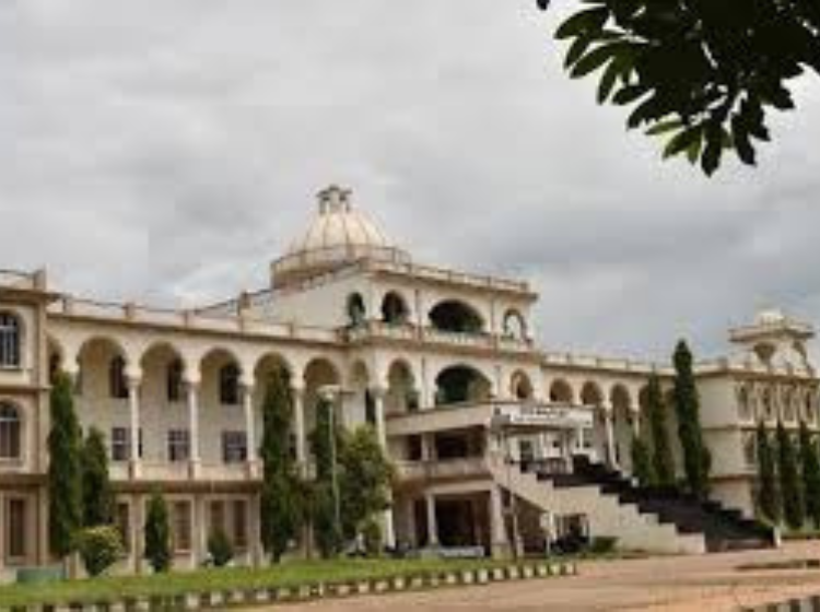 Untitled design (83)